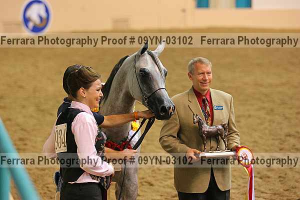 Proof 09yn-03102
