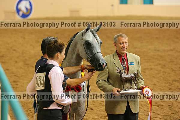 Proof 09yn-03103