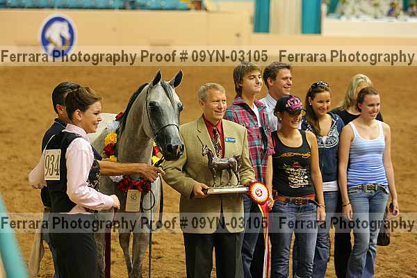 Proof 09yn-03105