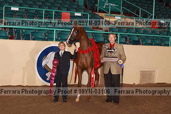 Proof 09yn-03106