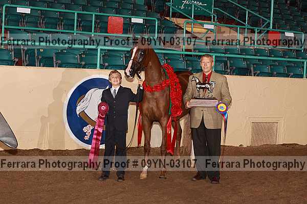 Proof 09yn-03107