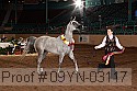 09yn-03117 proof