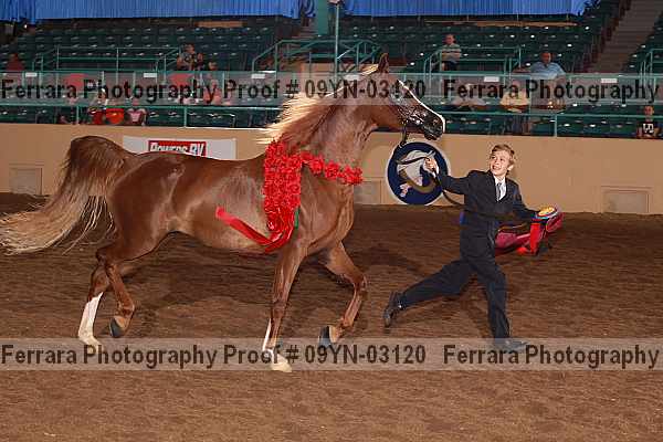 Proof 09yn-03120
