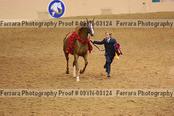 Proof 09yn-03124