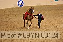 09yn-03124 proof
