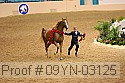 09yn-03125 proof