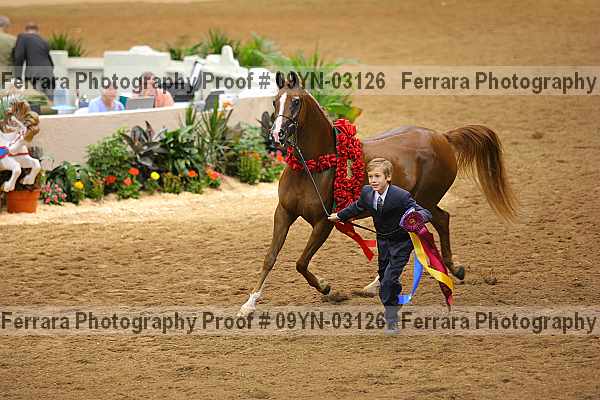Proof 09yn-03126