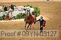 09yn-03127 proof
