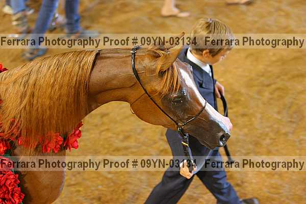 Proof 09yn-03134