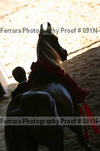 Proof 09yn-03138