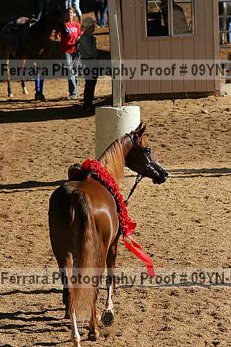 Proof 09yn-03140