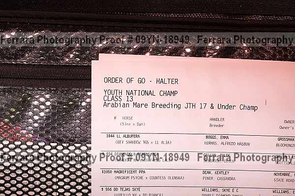 Proof 09yn-18949