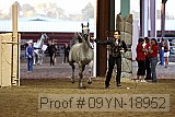 09yn-18952 proof