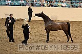 09yn-18969 proof