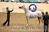 09yn-18976 proof