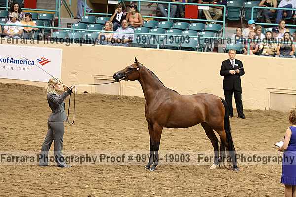 Proof 09yn-19003