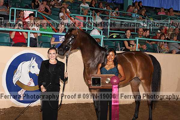 Proof 09yn-19006
