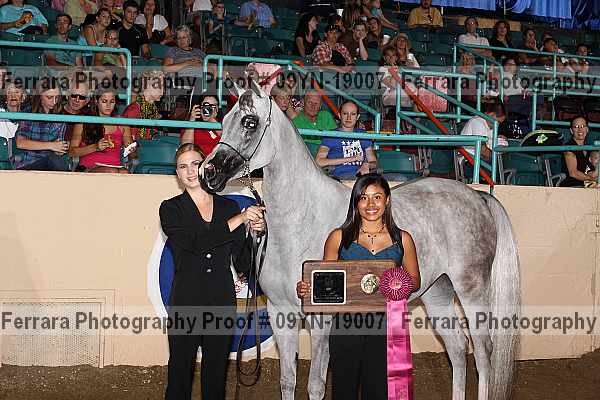 Proof 09yn-19007