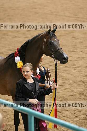 Proof 09yn-19013