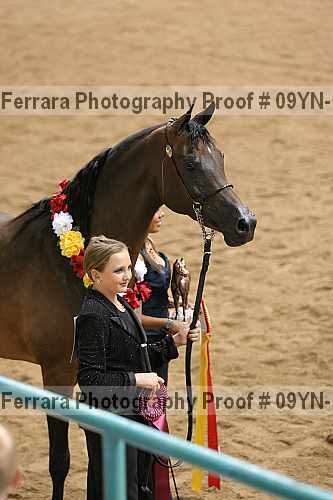 Proof 09yn-19014