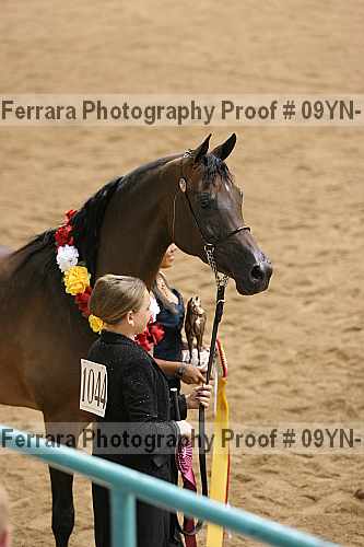 Proof 09yn-19015