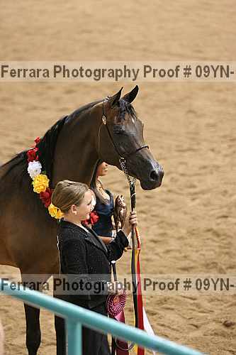 Proof 09yn-19016