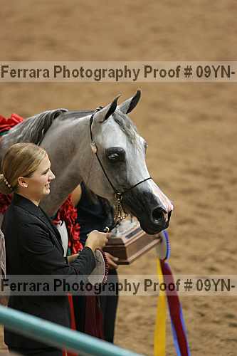 Proof 09yn-19033