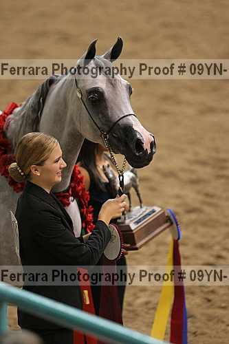 Proof 09yn-19034
