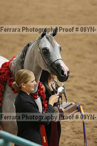 Proof 09yn-19035