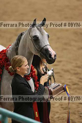 Proof 09yn-19036