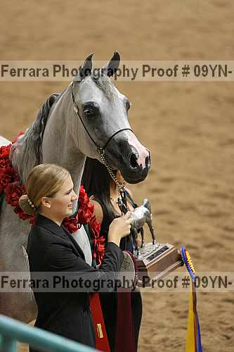 Proof 09yn-19037