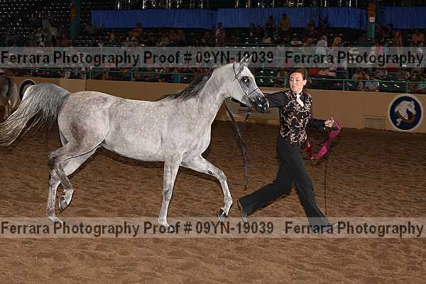 Proof 09yn-19039