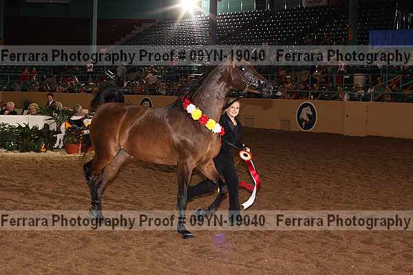Proof 09yn-19040