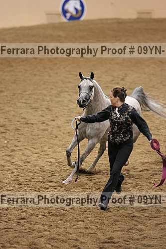 Proof 09yn-19042
