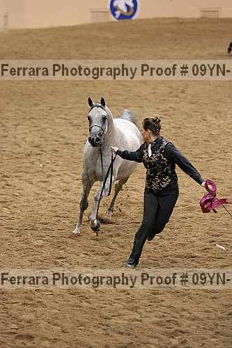 Proof 09yn-19043