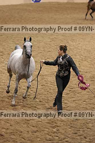 Proof 09yn-19045