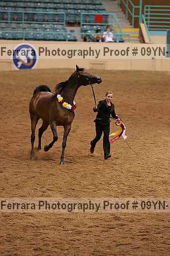 Proof 09yn-19046