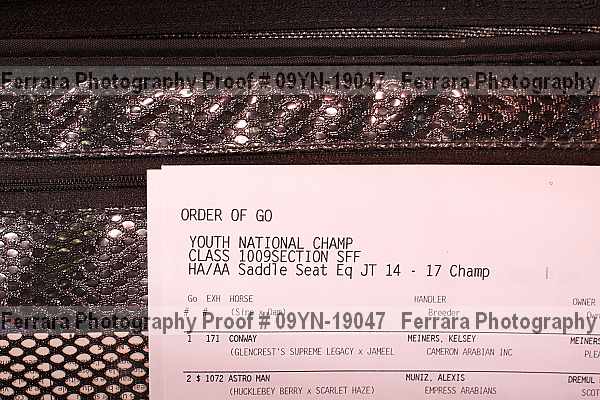 Proof 09yn-19047