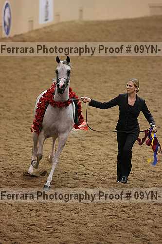 Proof 09yn-19052