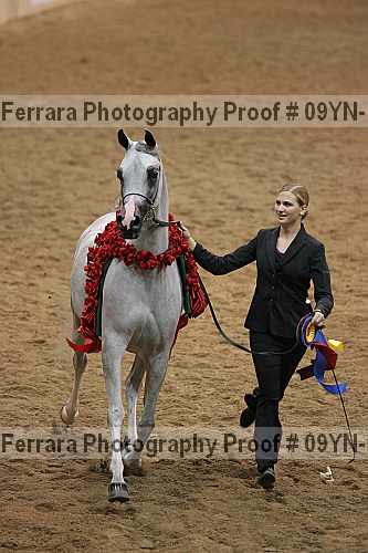 Proof 09yn-19055