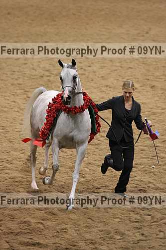 Proof 09yn-19056