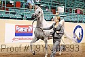 09yn-02893 proof