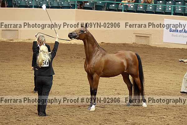 Proof 09yn-02906