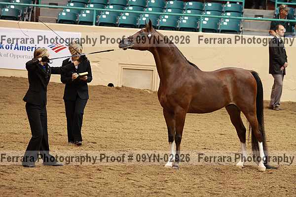 Proof 09yn-02926