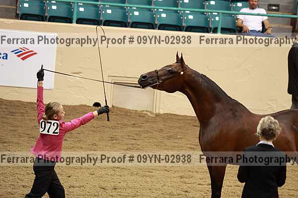 Proof 09yn-02938
