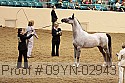 09yn-02943 proof