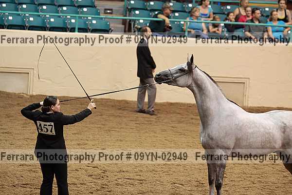 Proof 09yn-02949