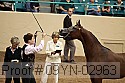 09yn-02963 proof