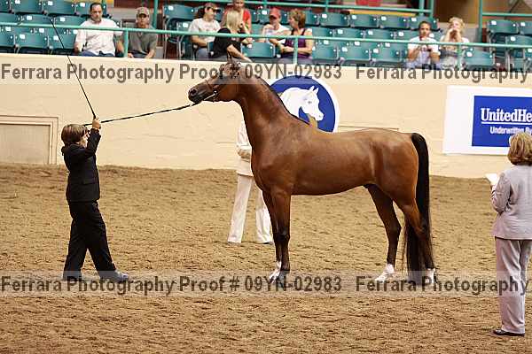 Proof 09yn-02983