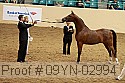 09yn-02994 proof